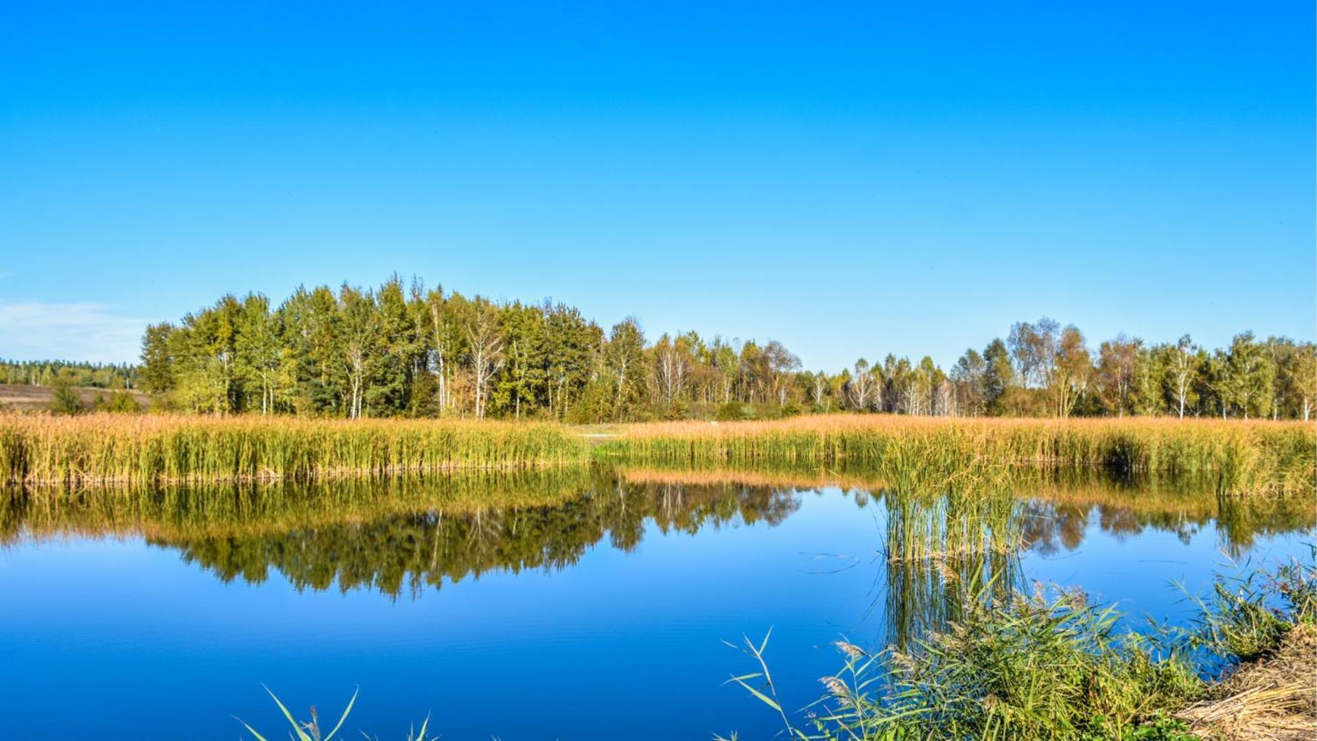 Sherwood Lake Hotel Berezovka  Екстериор снимка